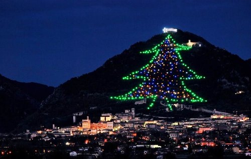 Папа Франциск запалив незвичайну святкову ялинку